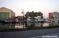 Den Helder The Netherlands - Boats