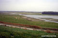 Domburg The Netherlands - Landscape