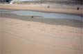 Noordwijk The Netherland - Beach