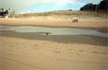 Noordwijk The Netherland - Beach