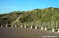 Texel De Koog - Dunas Ecomare 