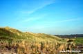 Texel De Koog - Dunas